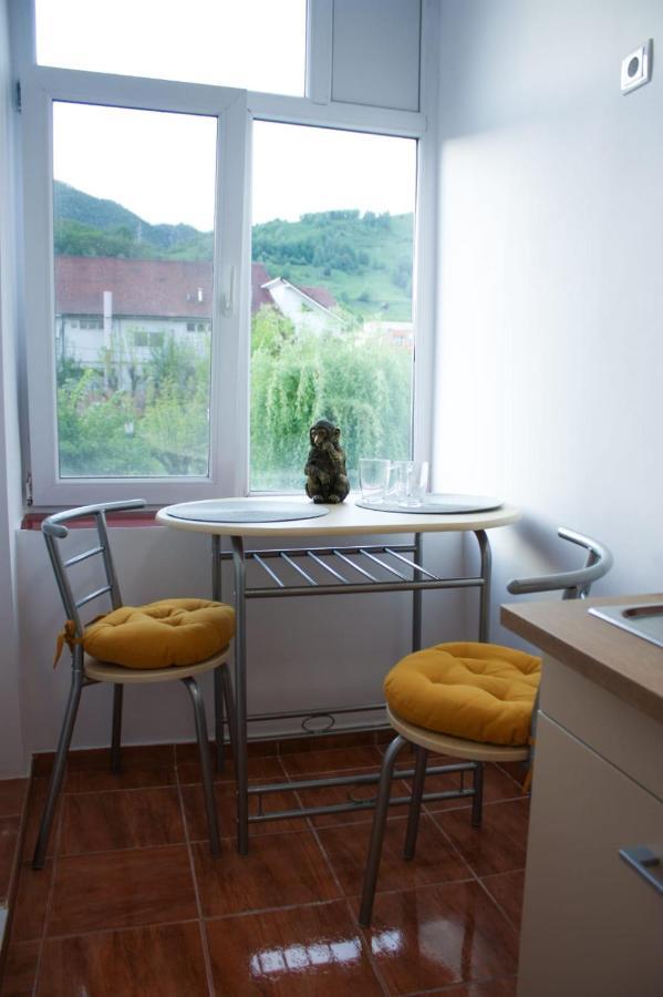 Vlad'S Downtown Apartment Petrila 外观 照片