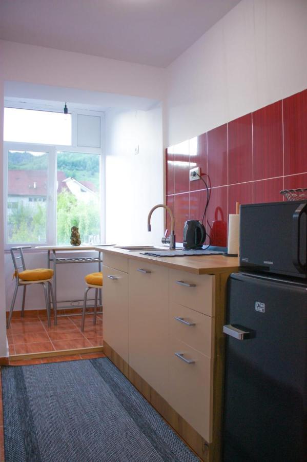 Vlad'S Downtown Apartment Petrila 外观 照片