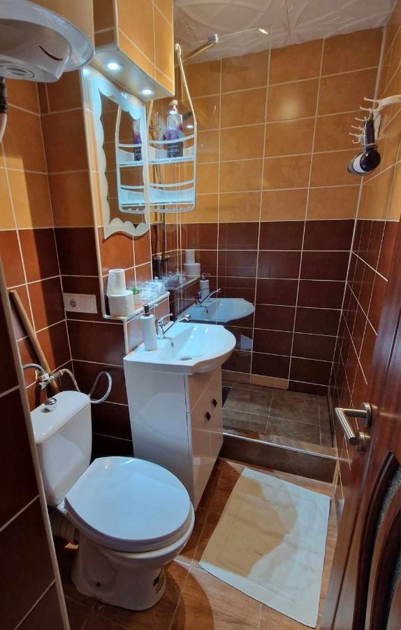Vlad'S Downtown Apartment Petrila 外观 照片